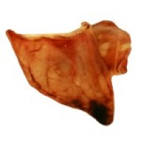 pig-ears-single-150x150